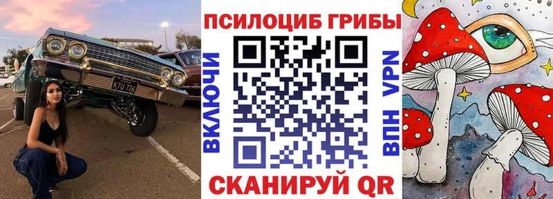 Галлюциногенные грибы Cubensis  Сергач 